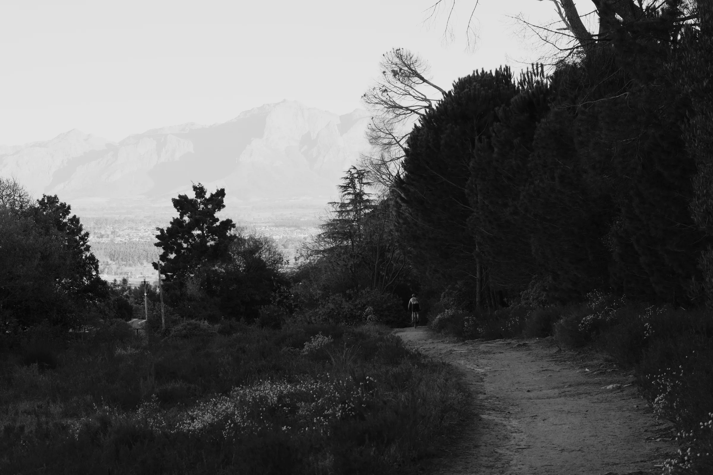 Trail on Paarl Mountain at Courtrai, training ground for the Jonkershoek Mountain Challenge