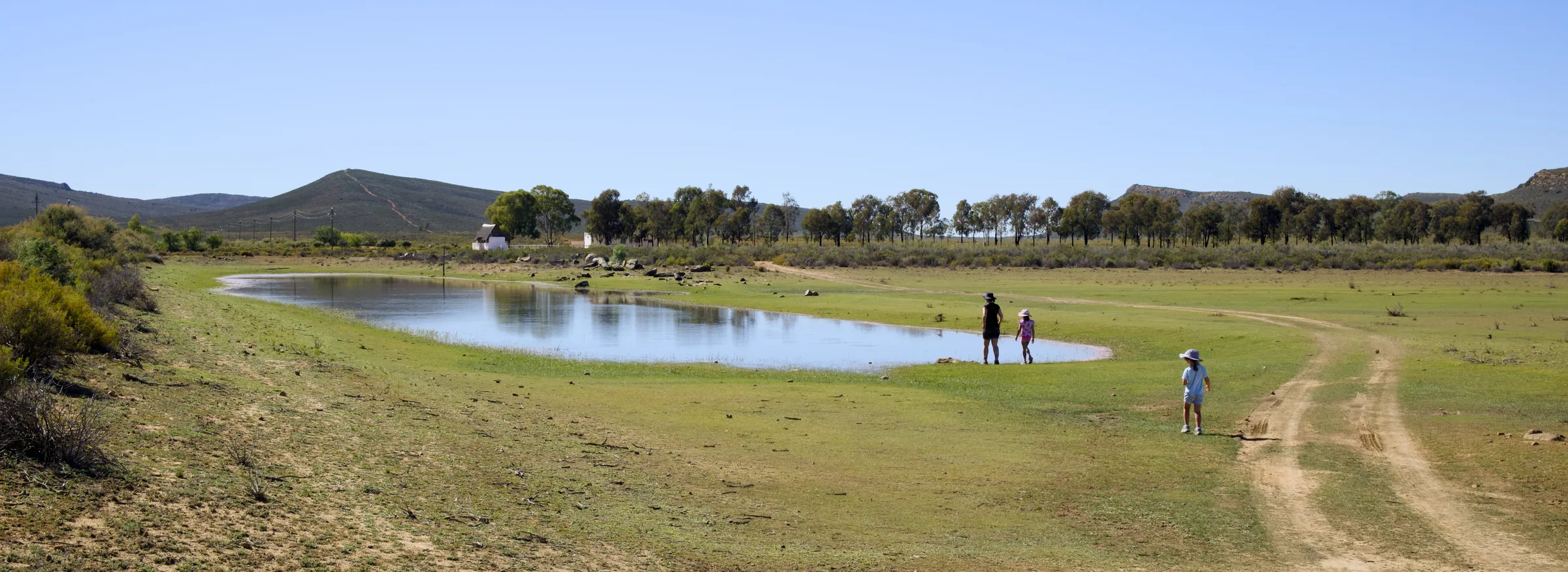 Walking near a farm dam with Karoo mountains in the background